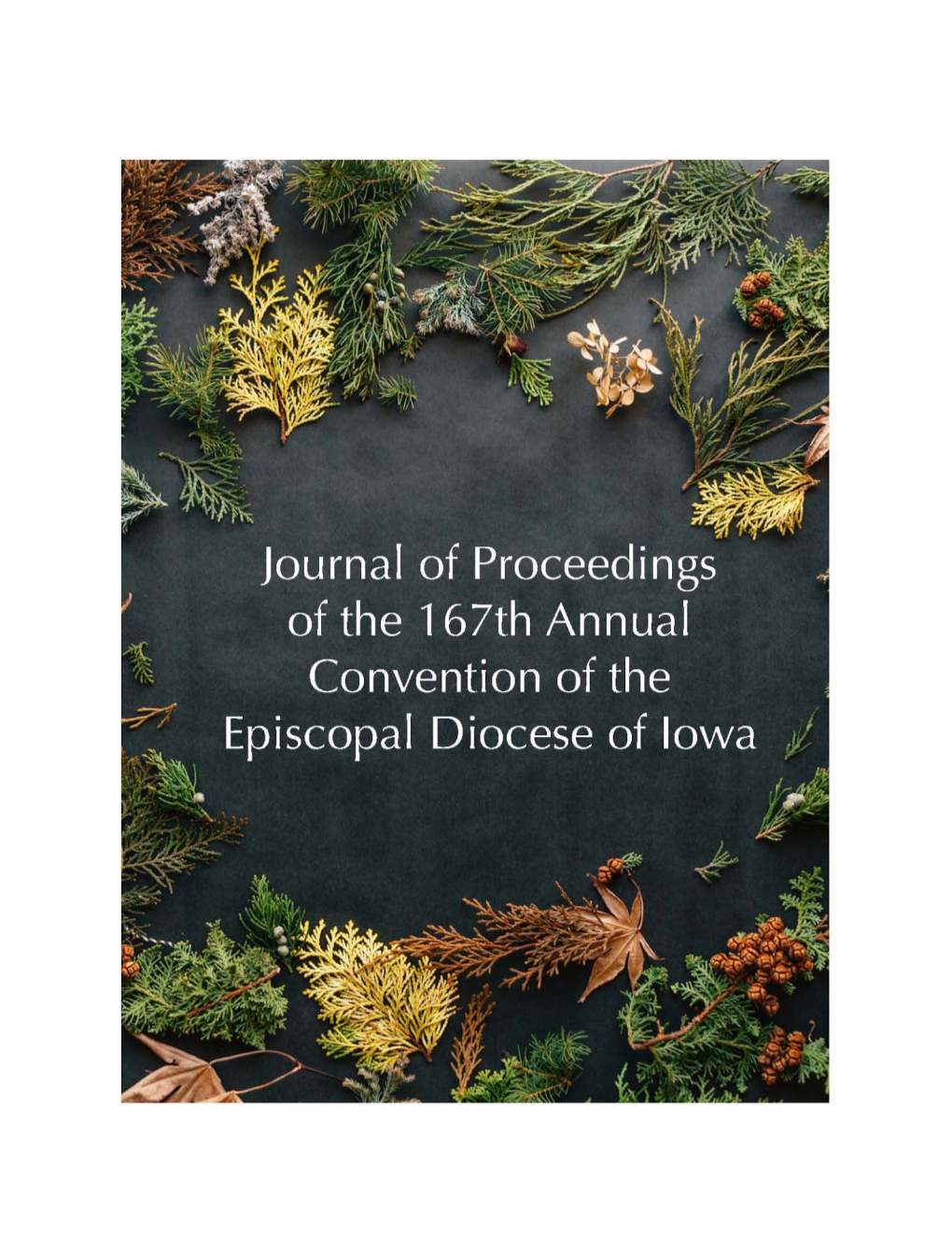 Journal of Proceedings of the 167​Th​ Annual Convention of The
