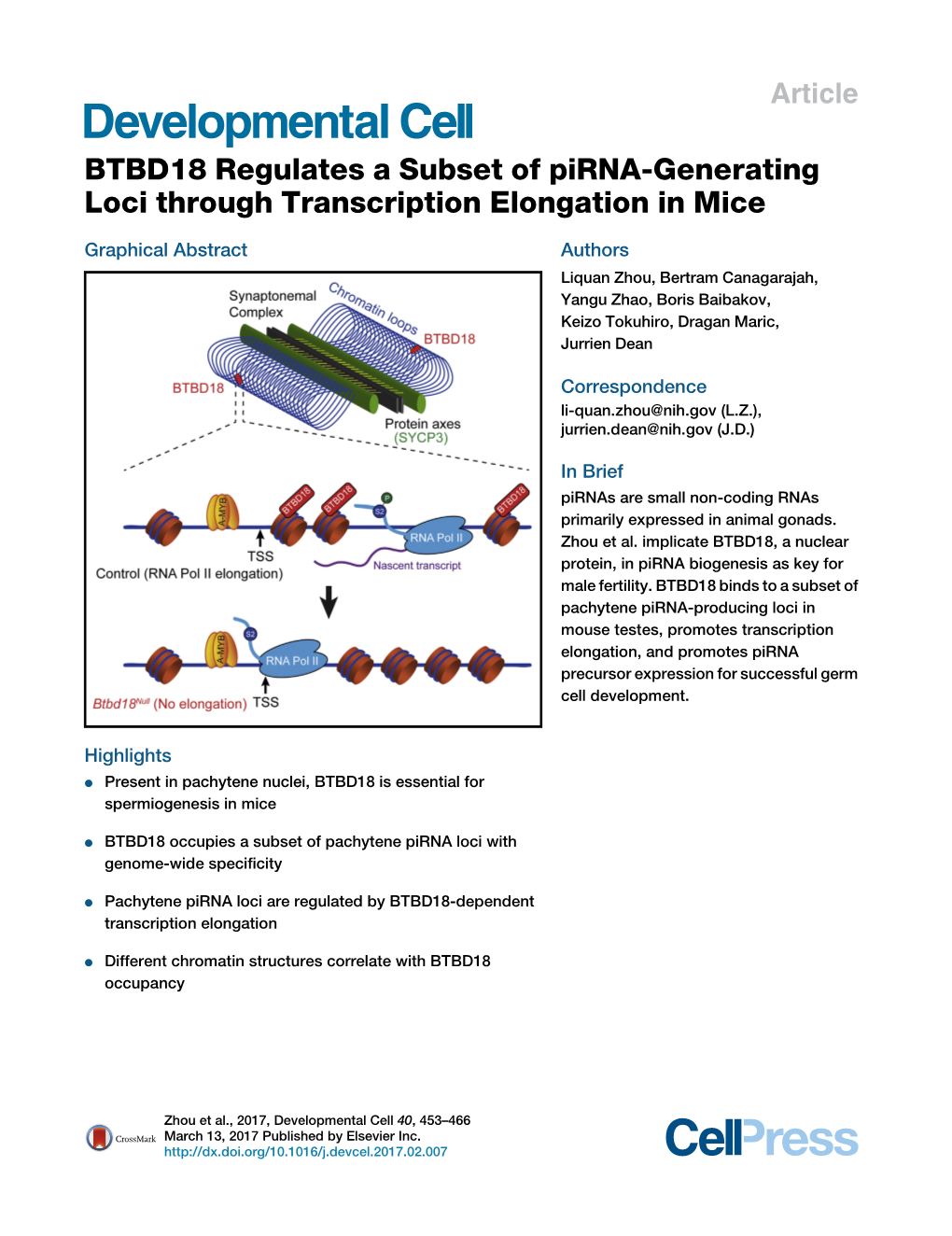 BTBD18 Regulates a Subset of Pirna-Generating Loci Through Transcription Elongation in Mice