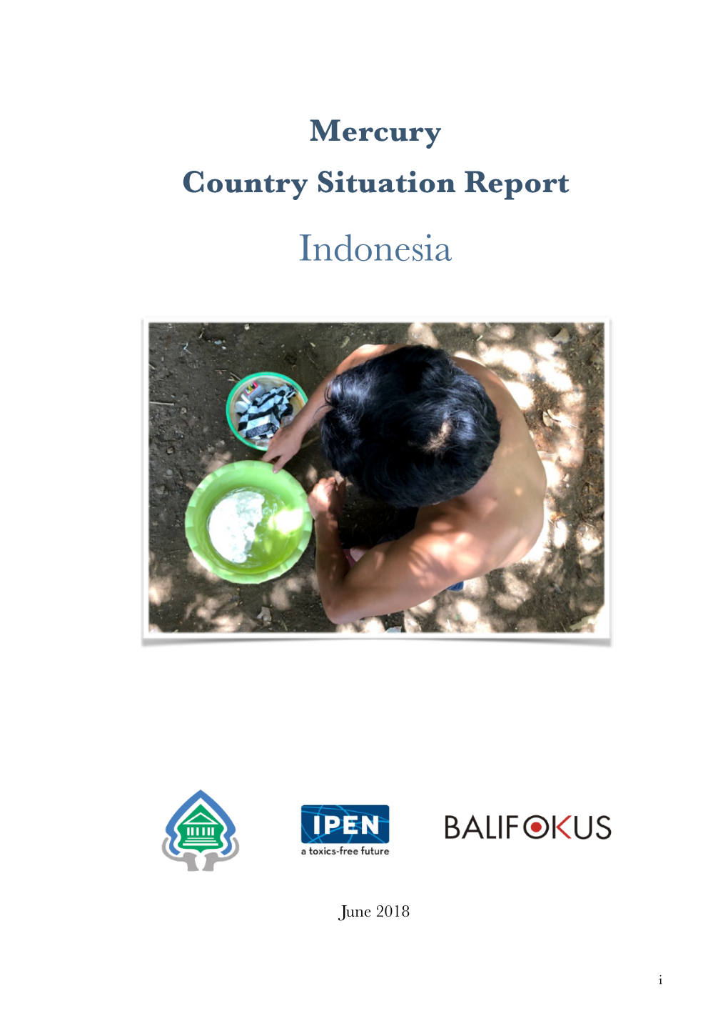 2018B Indonesia Mercury Country Situation