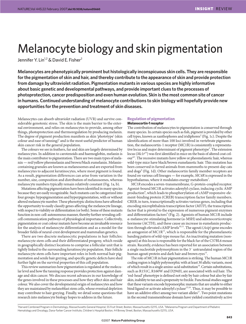 Melanocyte Biology and Skin Pigmentation Jennifer Y