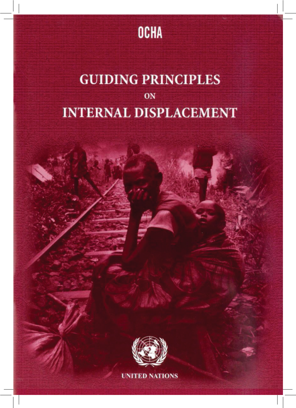 Guiding Principles on Internal Displacement, Developed Under the Aegis of Dr