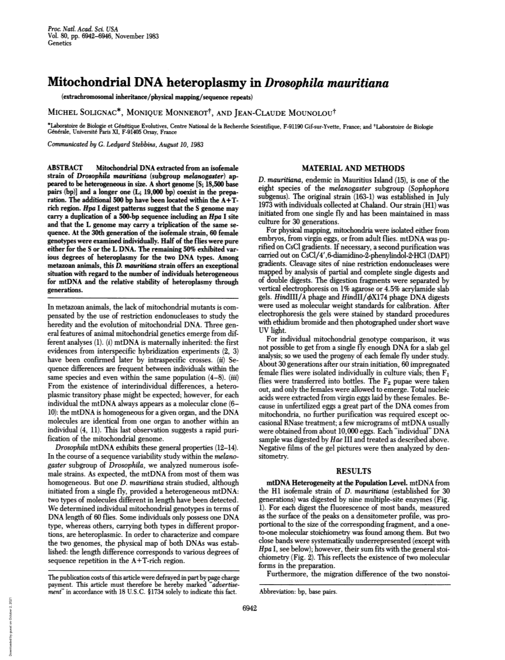 Mitochondrial DNA Heteroplasmy in Drosophila Mauritiana