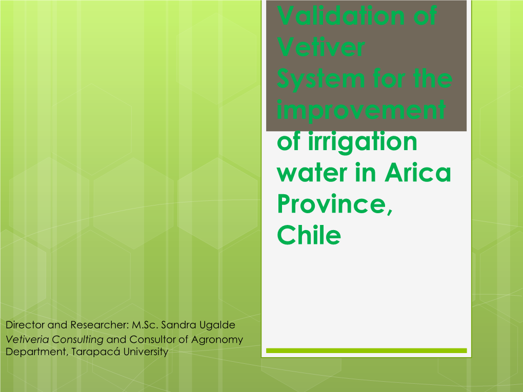 Validation of Vetiver System for the Improvement of Irrigation Water in Arica Province, Chile
