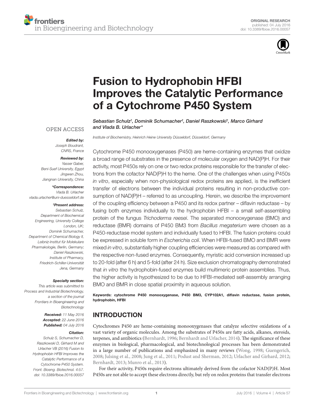 Fusion to Hydrophobin Hfbi Improves the Catalytic Performance of a Cytochrome P450 System