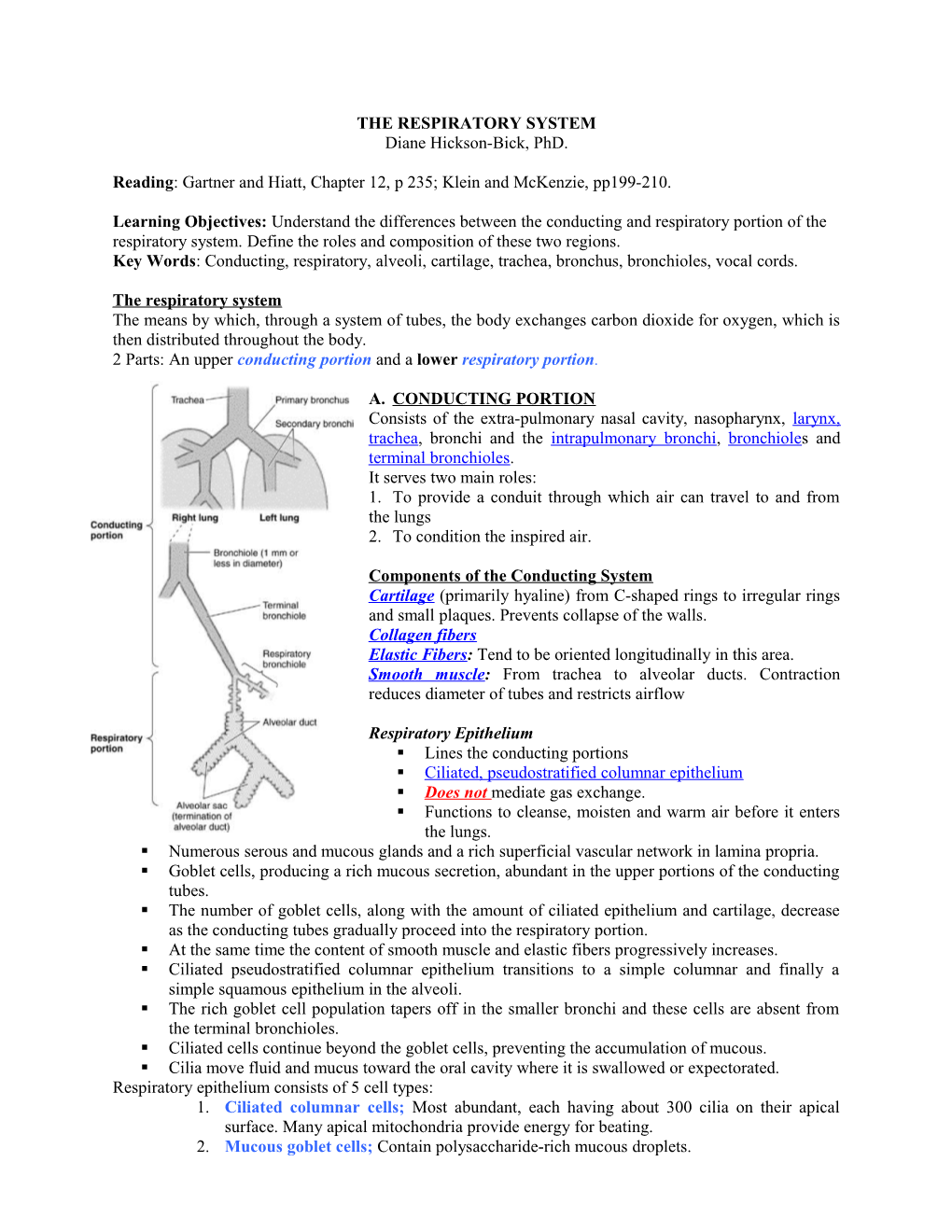 The Respiratory System s2