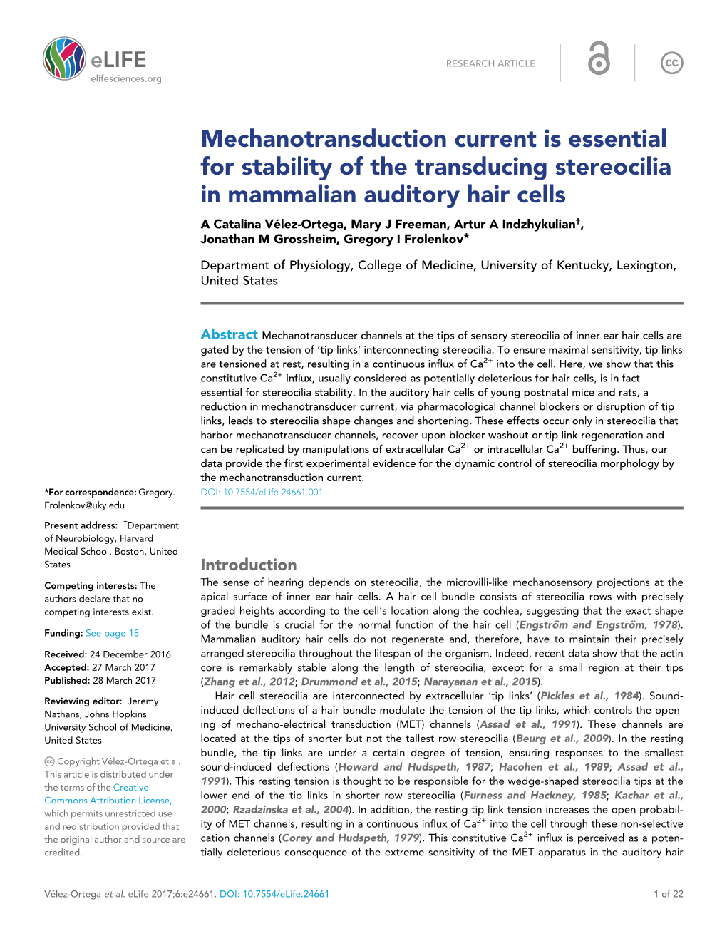 Mechanotransduction Current Is Essential for Stability of The