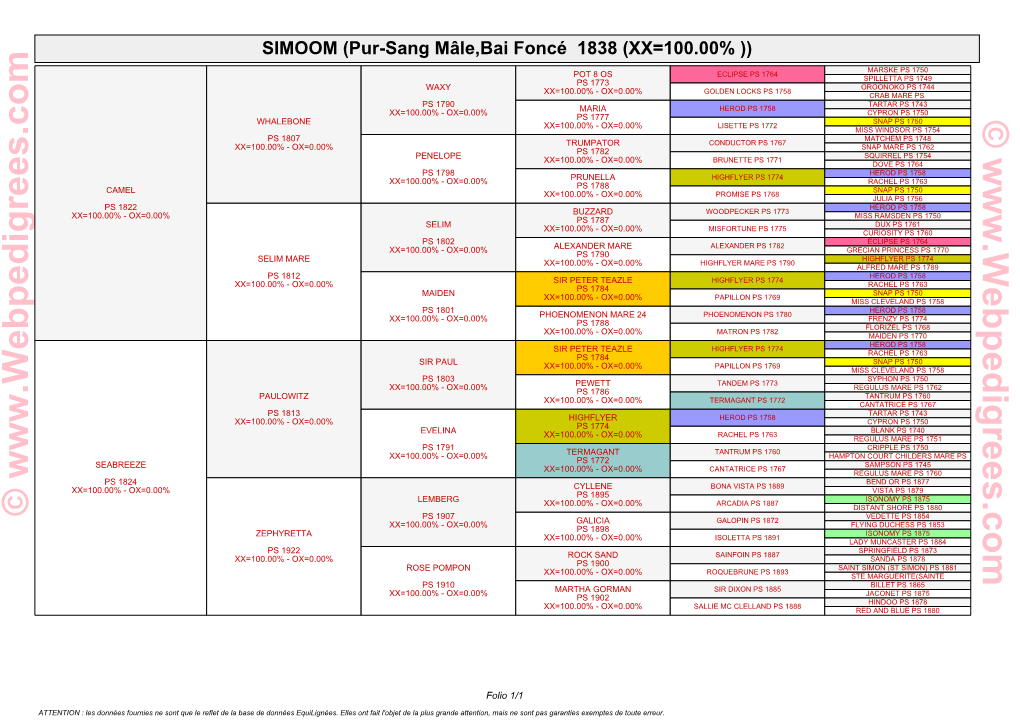 Pur-Sang Mâle,Bai Foncé 1838 (XX=100.00%