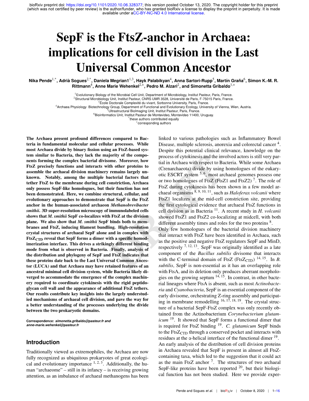 Sepf Is the Ftsz-Anchor in Archaea: Implications for Cell Division in the Last Universal Common Ancestor