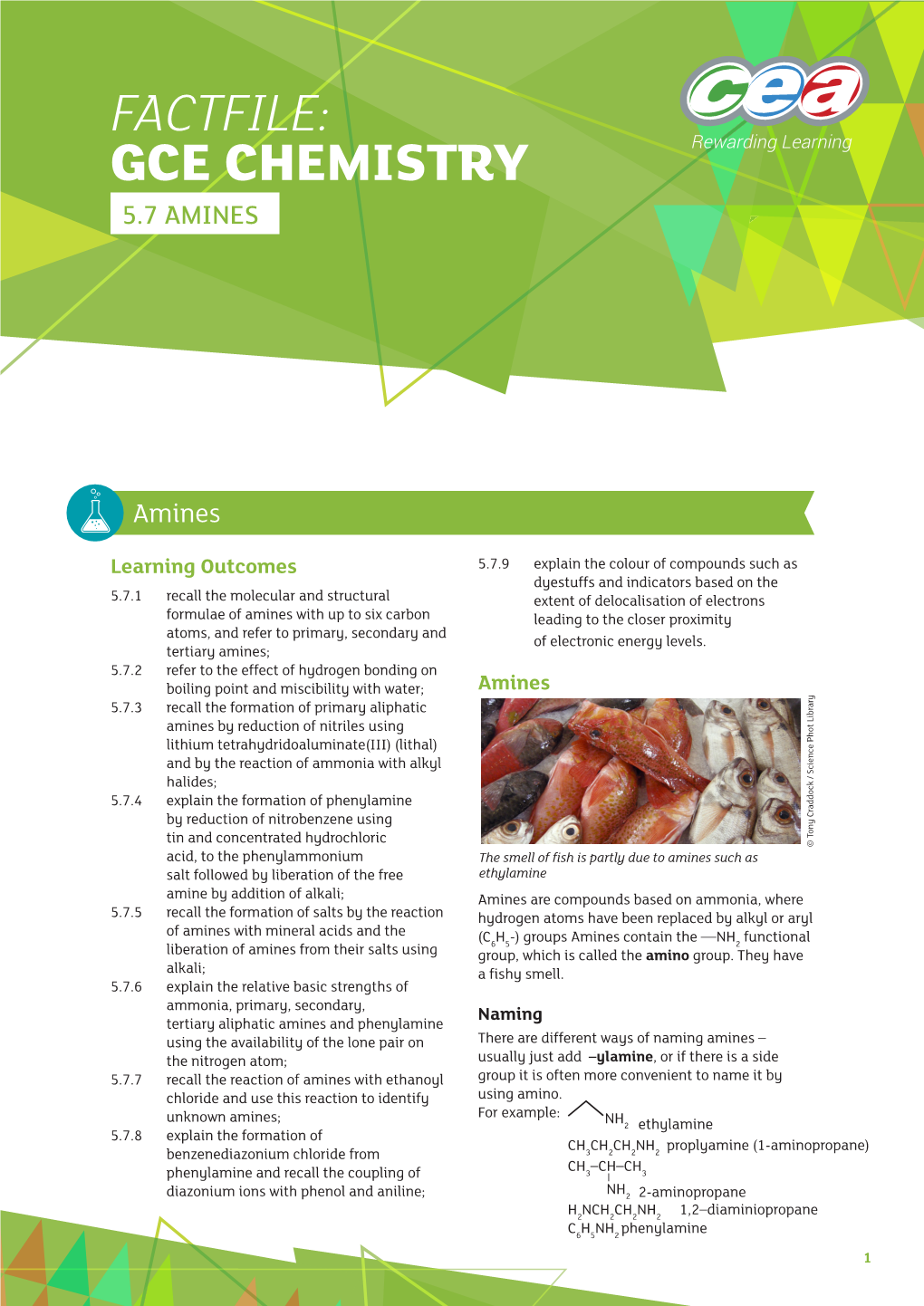 Factfile: Gce Chemistry 5.7 Amines