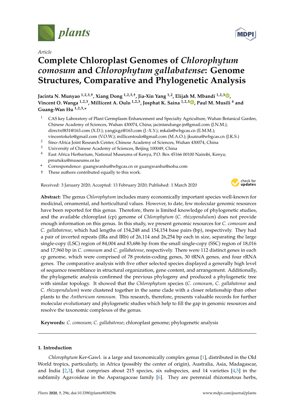 Complete Chloroplast Genomes of Chlorophytum Comosum and Chlorophytum Gallabatense: Genome Structures, Comparative and Phylogenetic Analysis