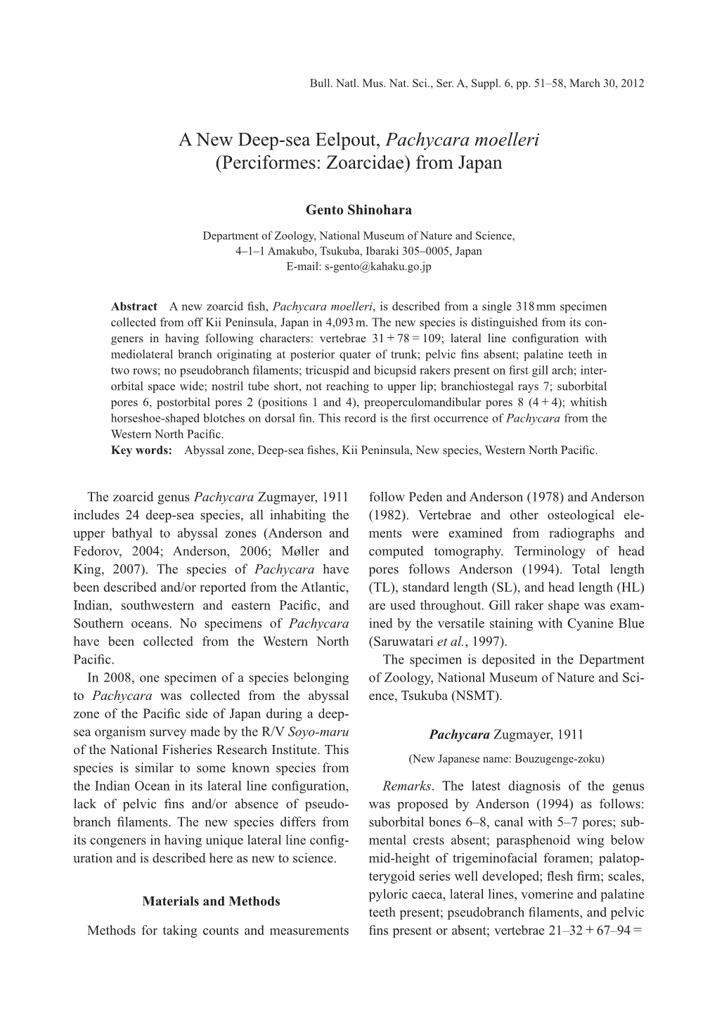 A New Deep-Sea Eelpout, Pachycara Moelleri (Perciformes: Zoarcidae) from Japan