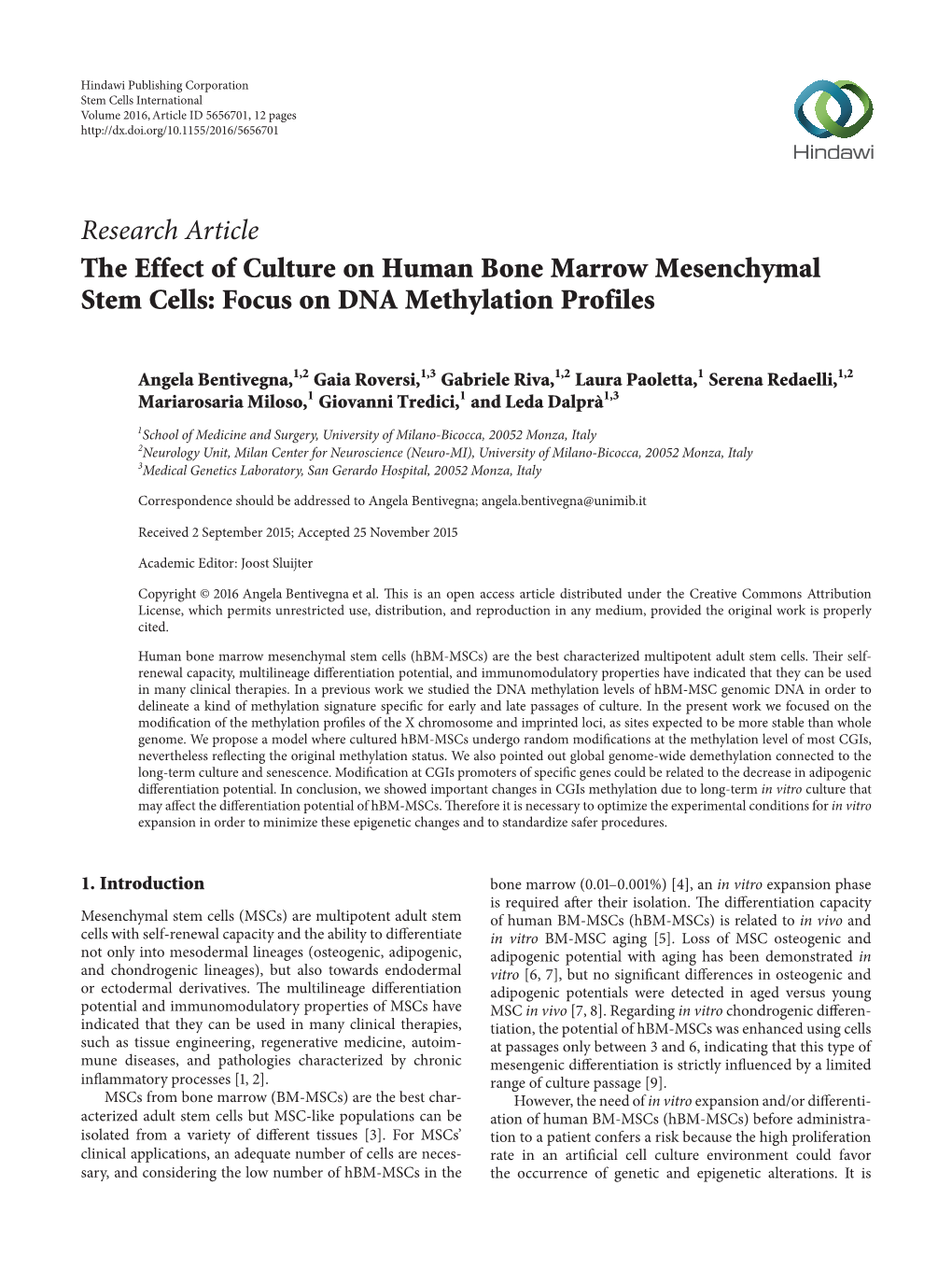 Focus on DNA Methylation Profiles