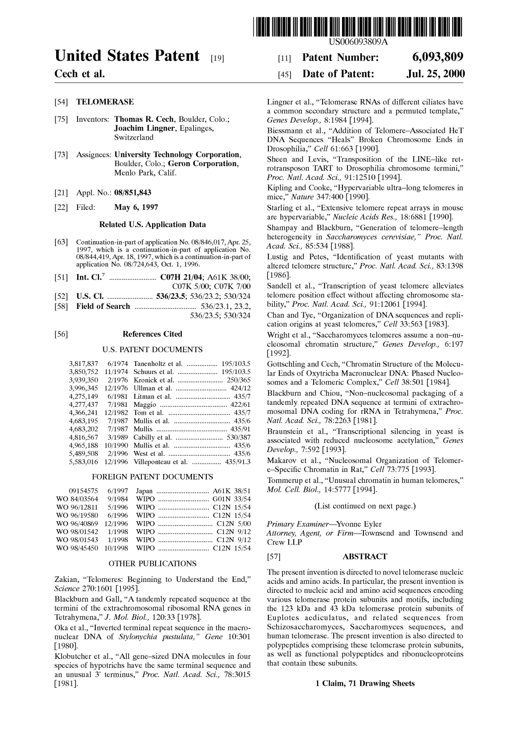 United States Patent (19) 11 Patent Number: 6,093,809 Cech Et Al