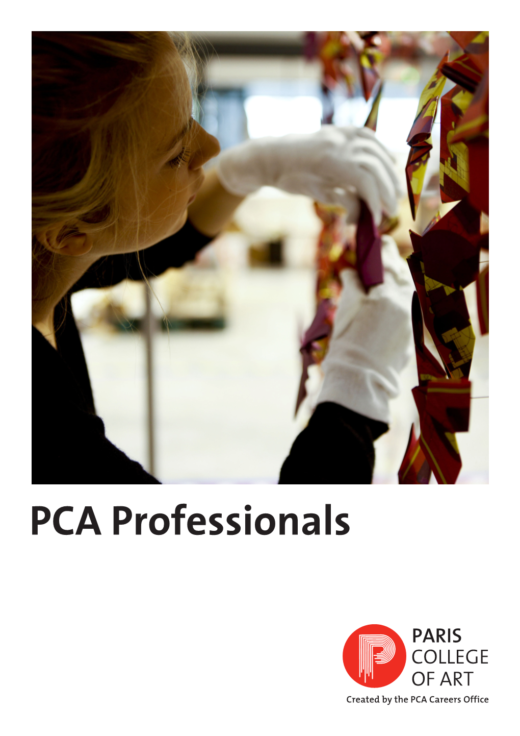 PCA Professionals