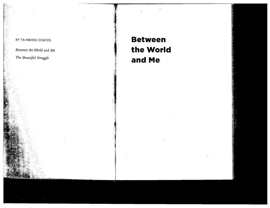 Between the World and Me the World the Beautiful Struggle and Me Between the World and Me