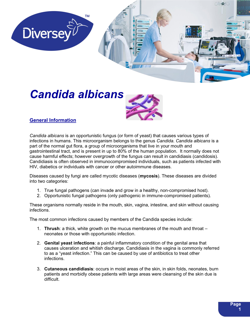 Candida Albicans