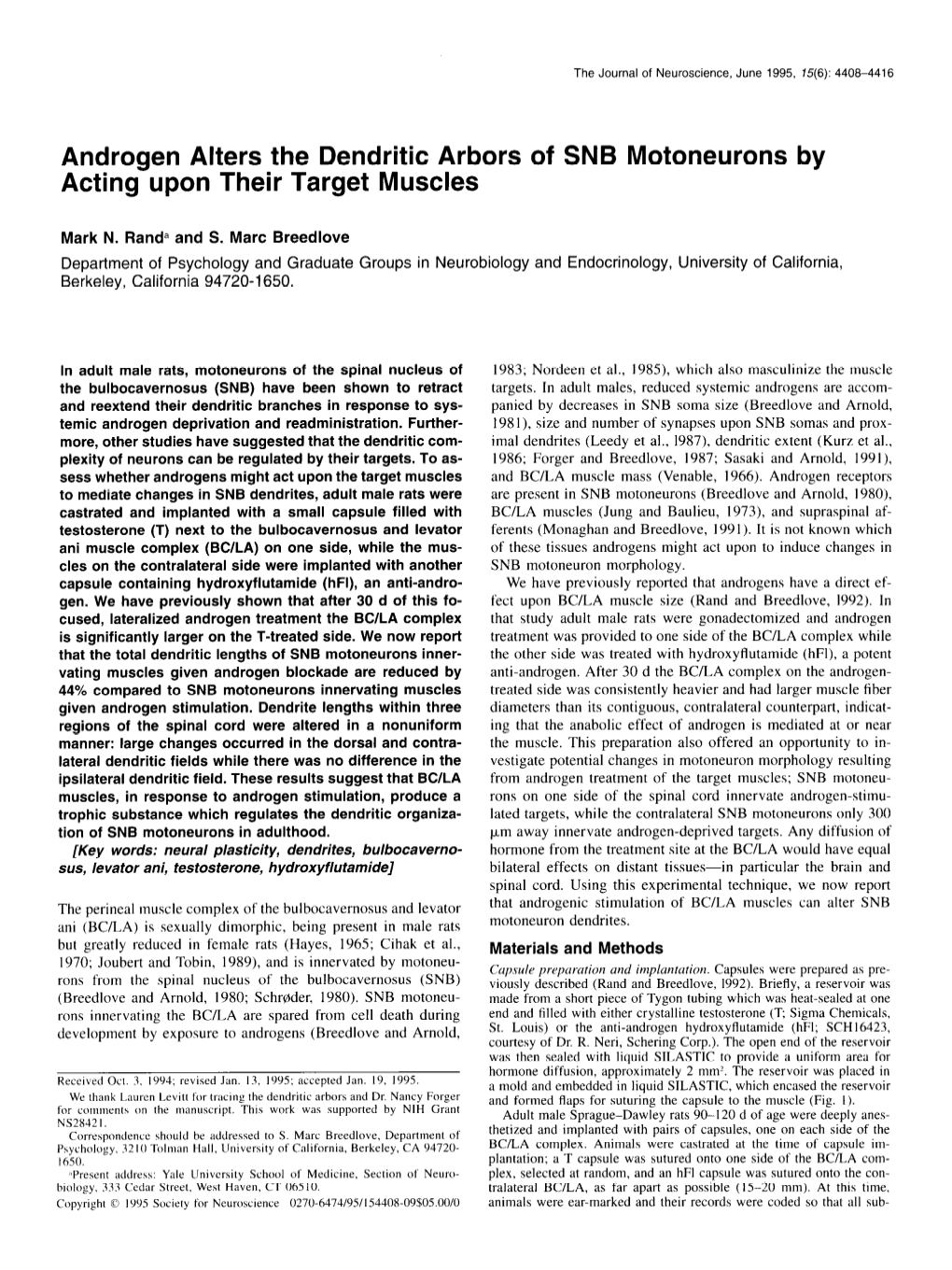 Androgen Alters the Dendritic Arbors of SNB Motoneurons by Acting Upon Their Target Muscles