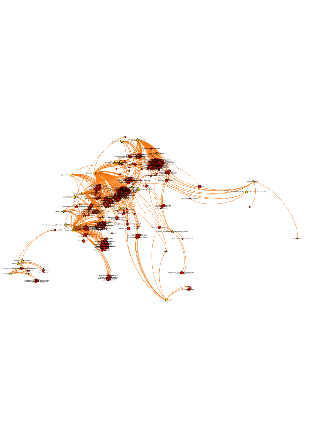 Zoom Into Cluster 8 Proteins and Pathways