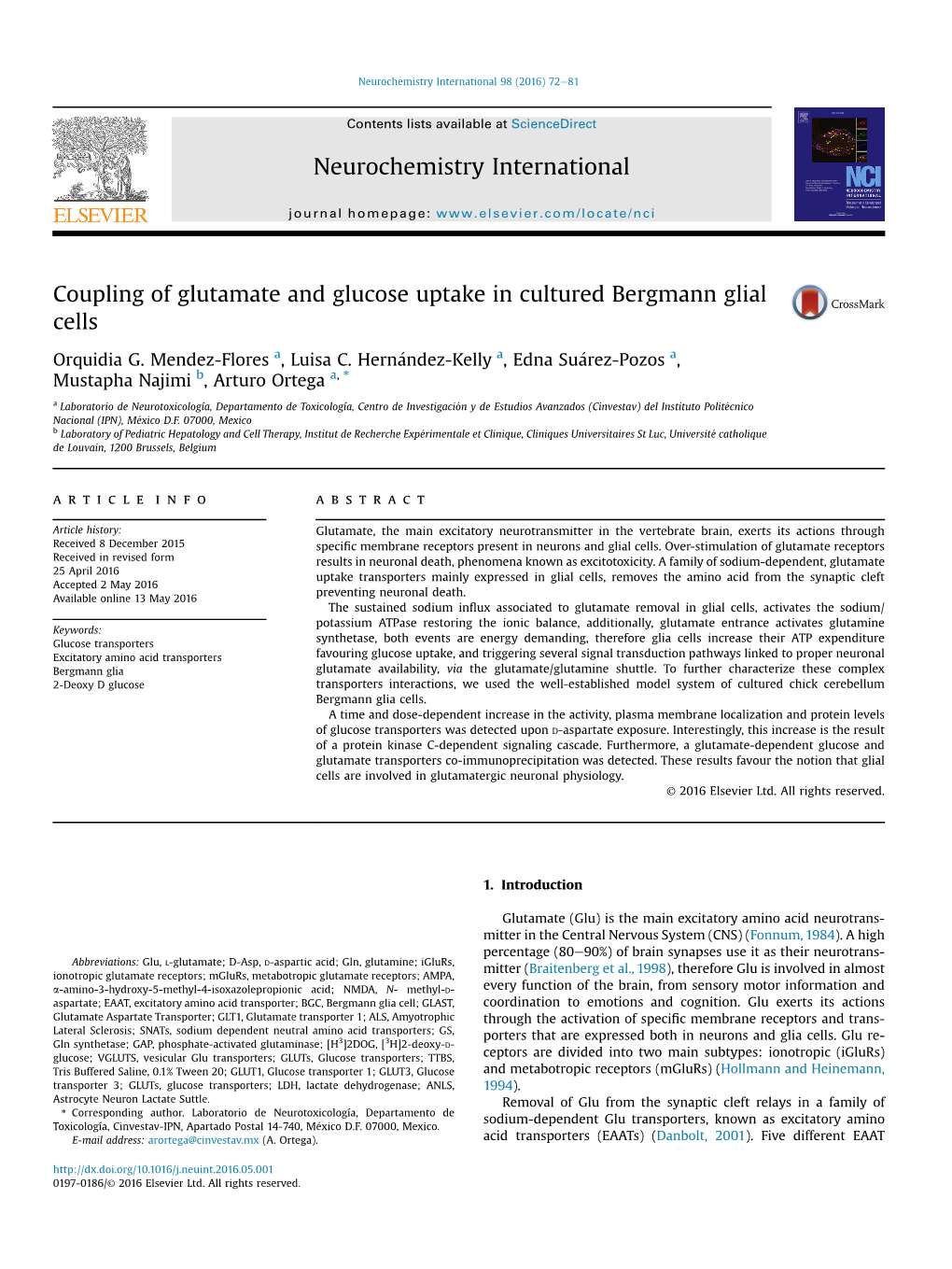 Coupling of Glutamate and Glucose Uptake in Cultured Bergmann Glial Cells