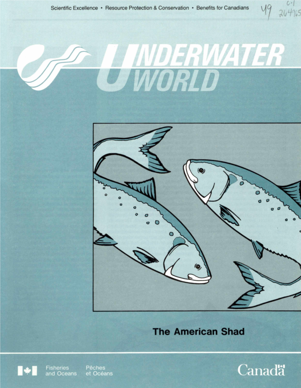 The American Shad � Underwater World 2