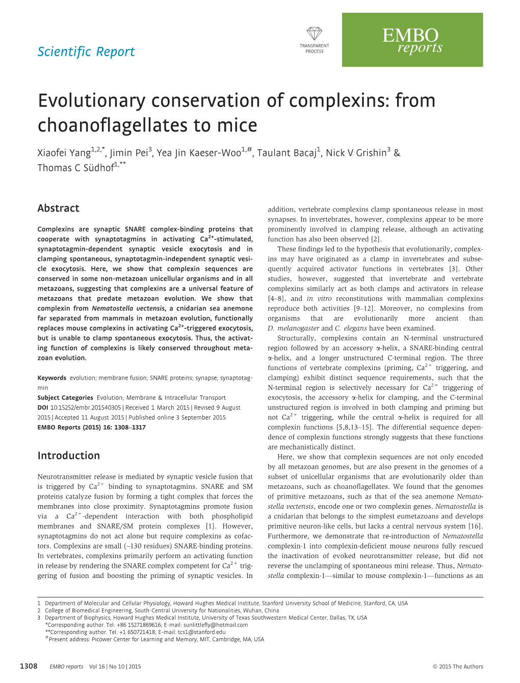 Evolutionary Conservation of Complexins: from Choanoflagellates to Mice