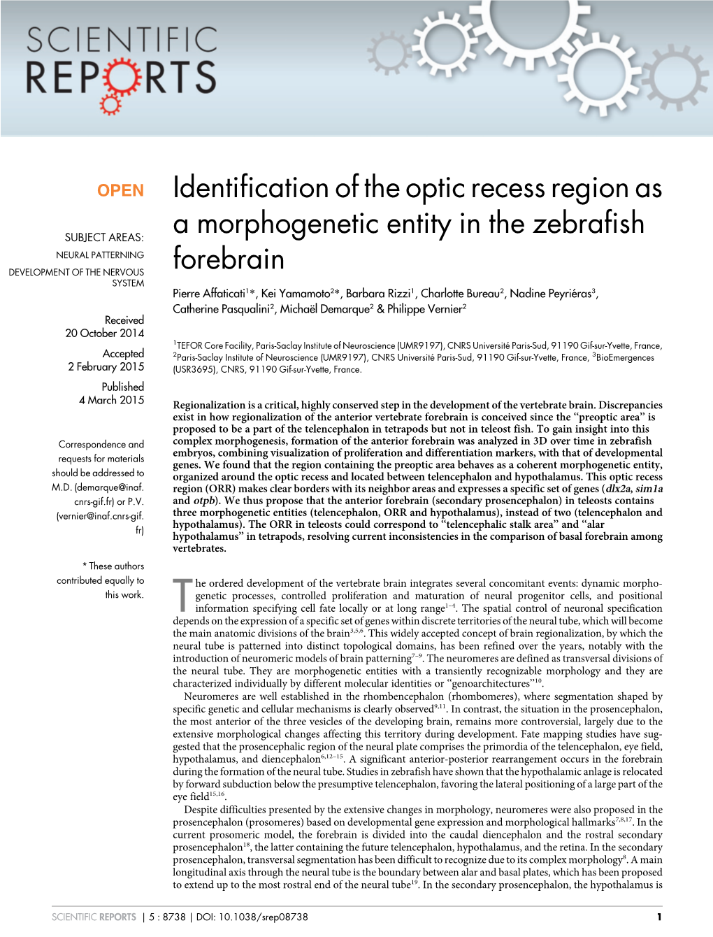Identification of the Optic Recess Region As a Morphogenetic Entity in The