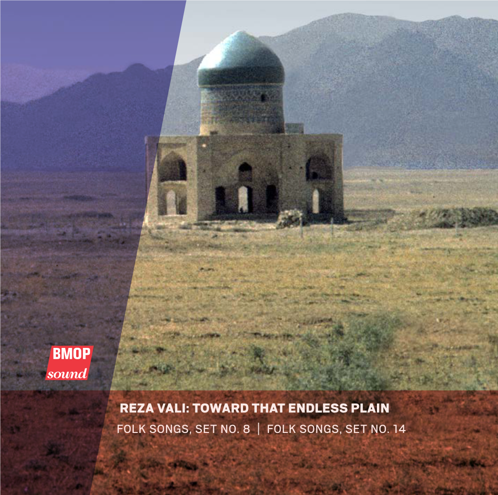 Reza Vali: Toward That Endless Plain Folk Songs, Set No