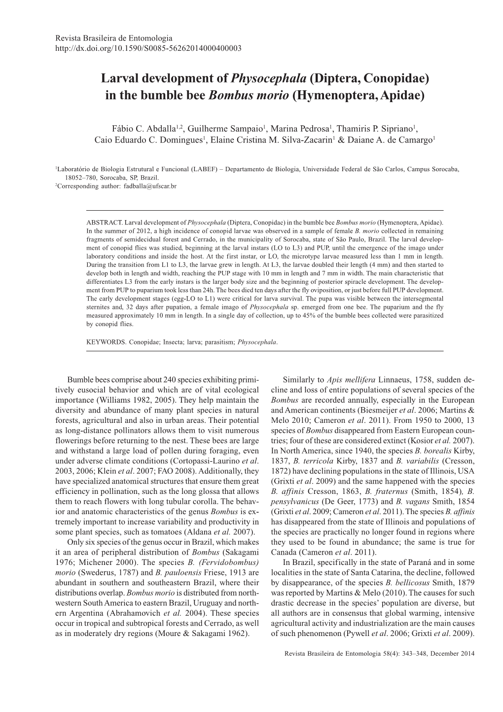 Larval Development of Physocephala (Diptera, Conopidae) in the Bumble Bee Bombus Morio (Hymenoptera, Apidae)