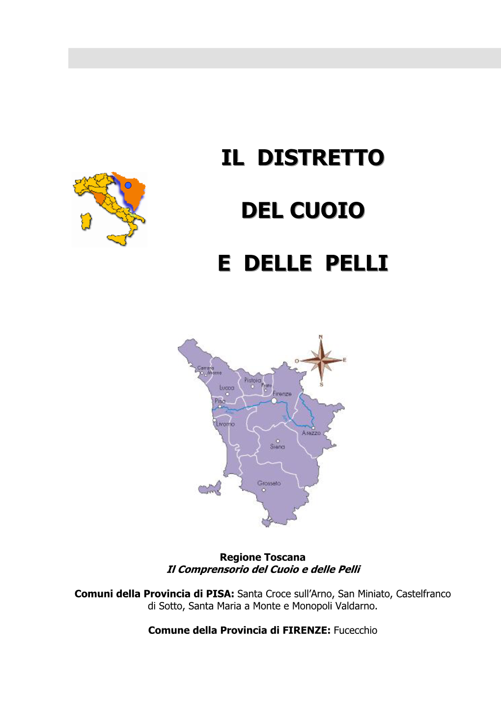 Il Distretto Conciario