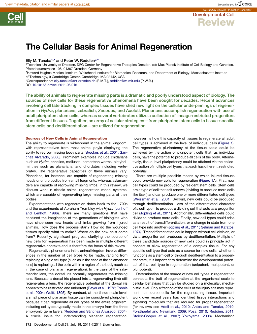 The Cellular Basis for Animal Regeneration