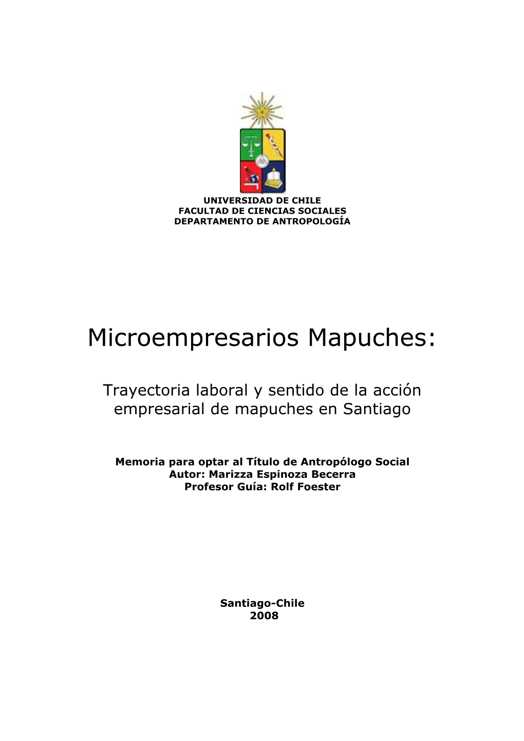 Microempresarios Mapuches