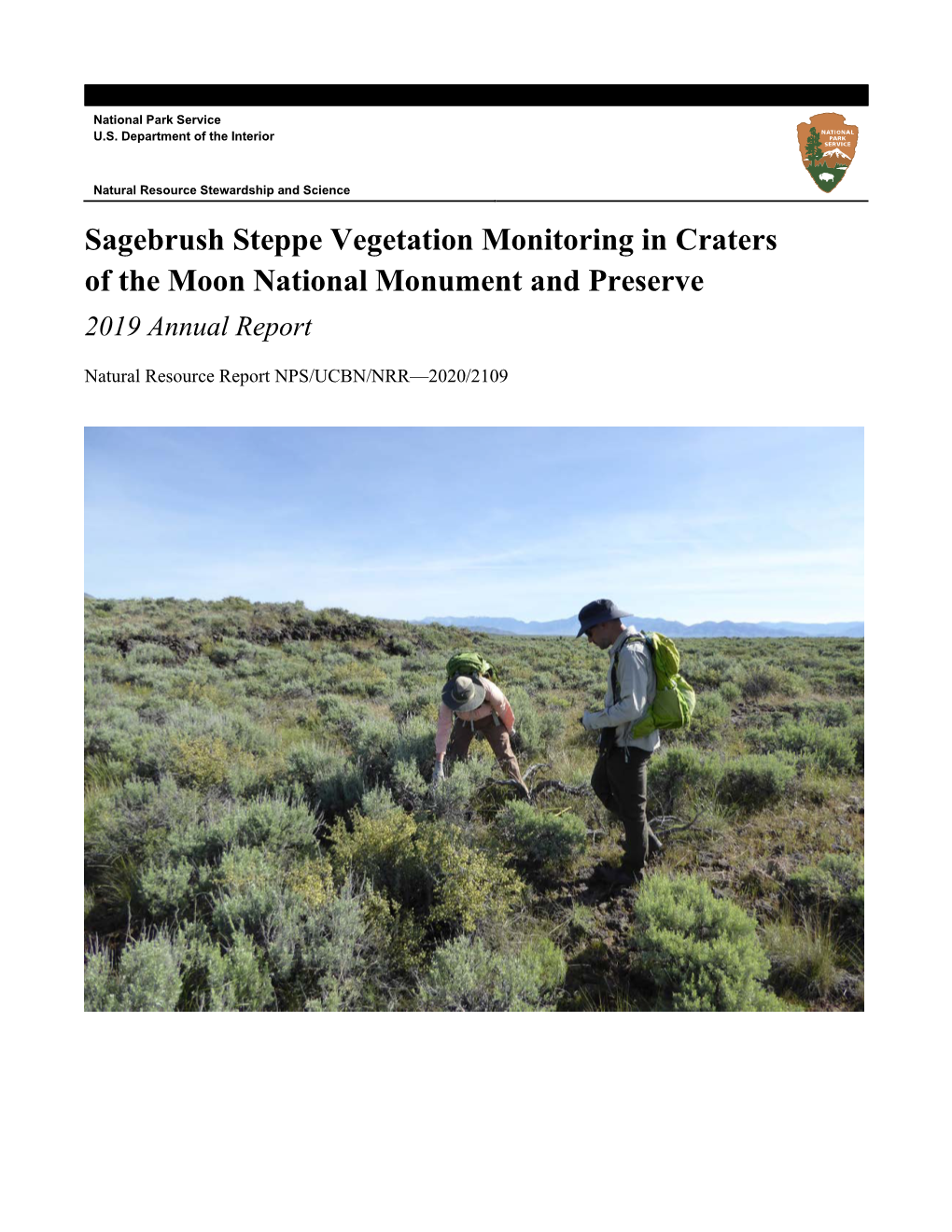 Sagebrush Steppe Vegetation Monitoring in Craters of the Moon National Monument and Preserve 2019 Annual Report