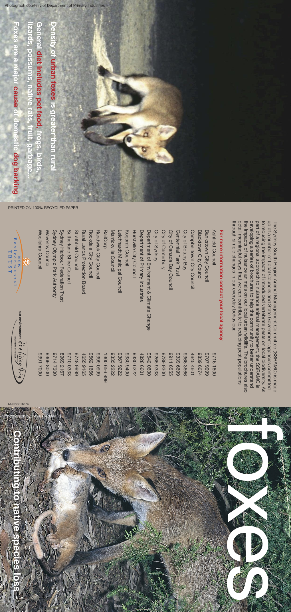 Regional Brochure About Foxes