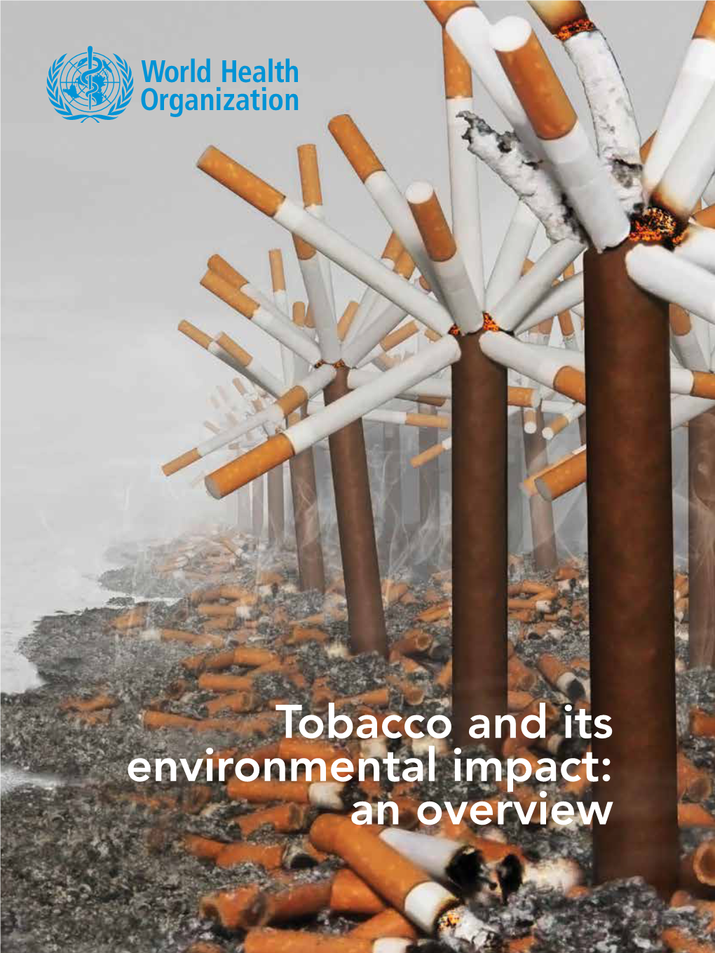 Tobacco and Its Environmental Impact: an Overview