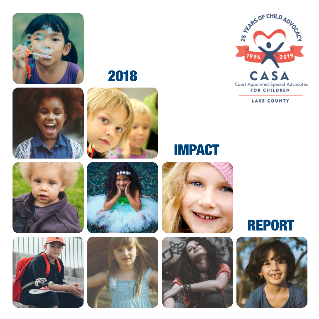 2018 Report Impact