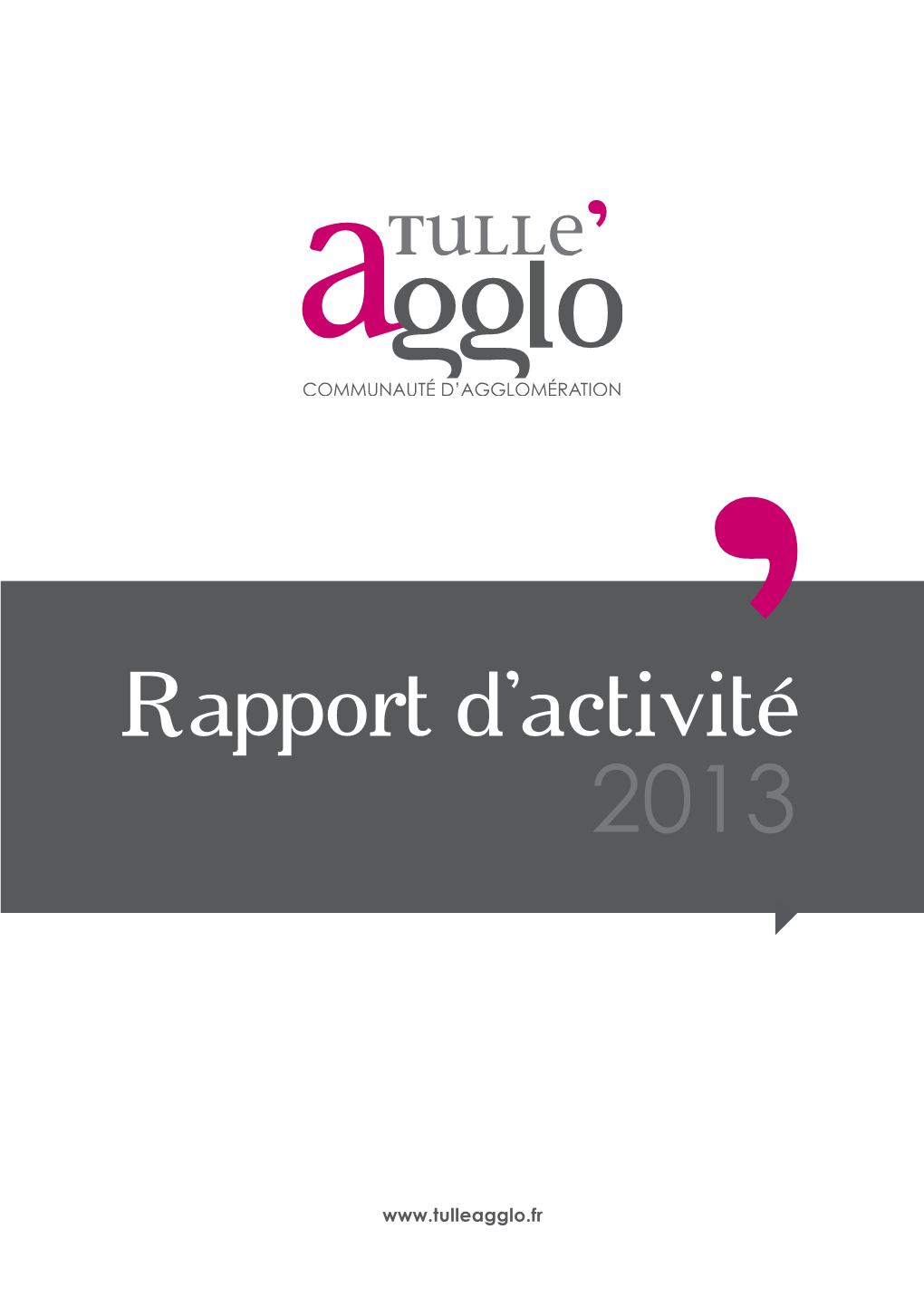 Rapport D'activité