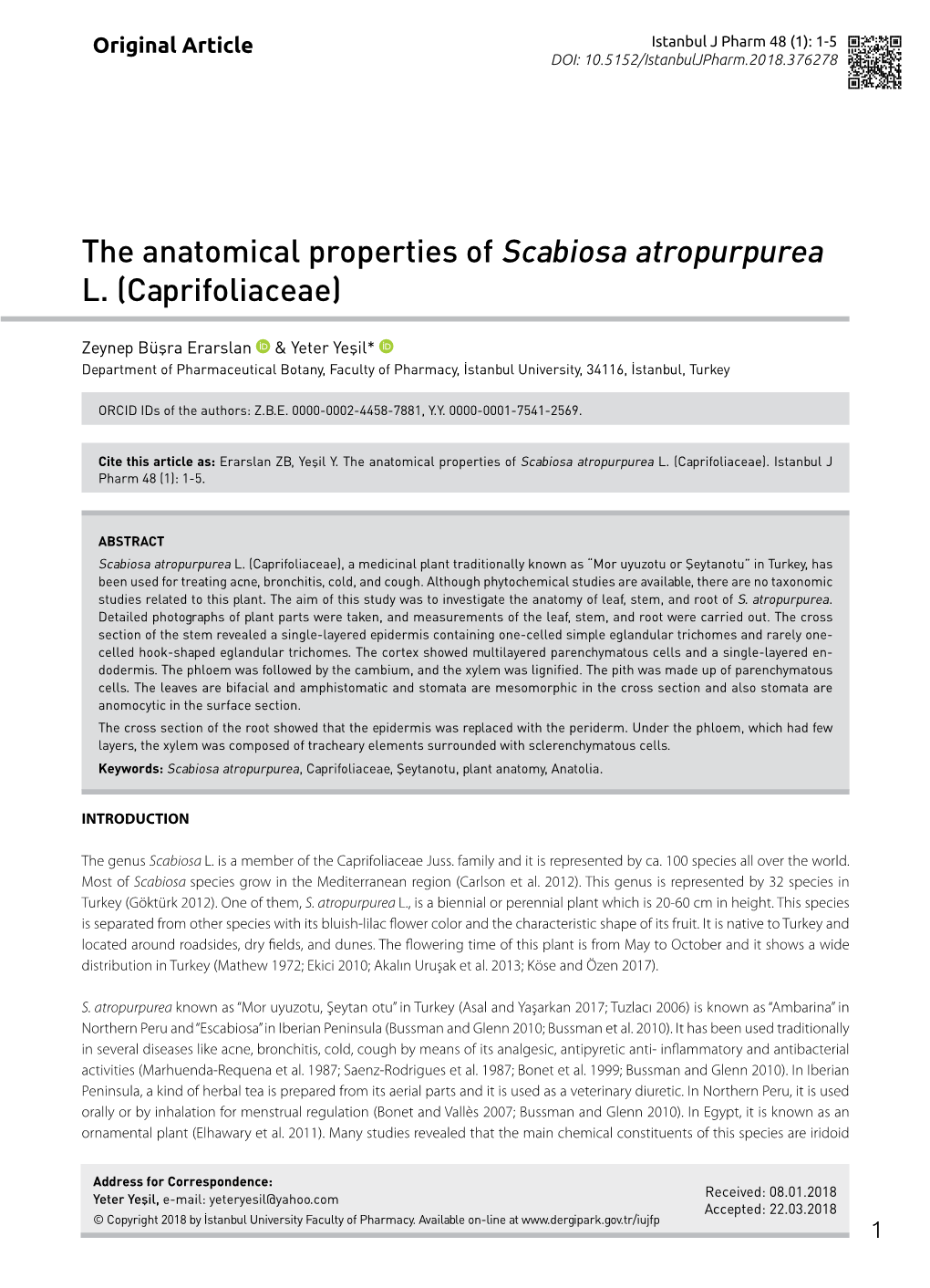 The Anatomical Properties of Scabiosa Atropurpurea L