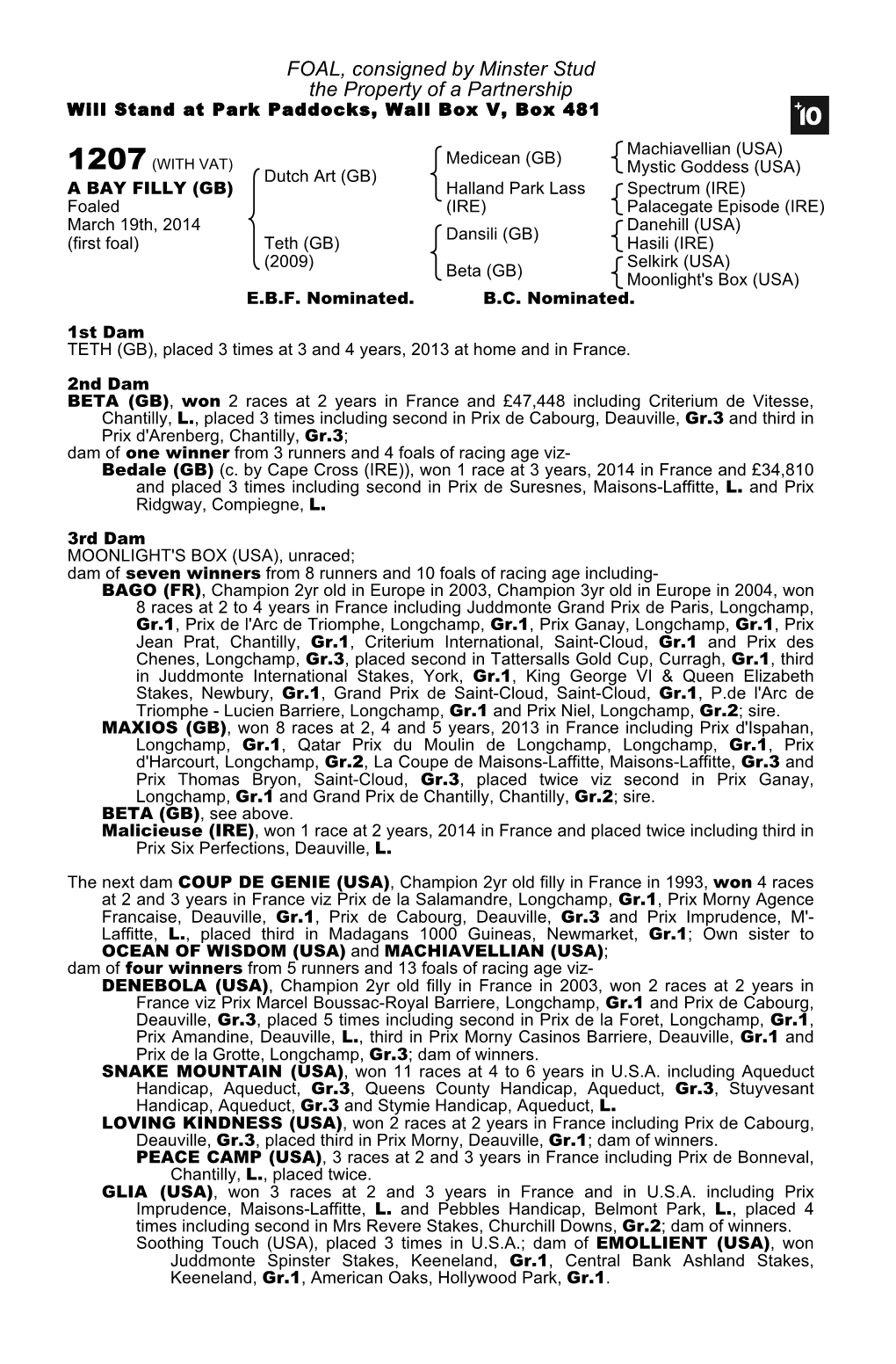 FOAL, Consigned by Minster Stud the Property of a Partnership Will Stand at Park Paddocks, Wall Box V, Box 481