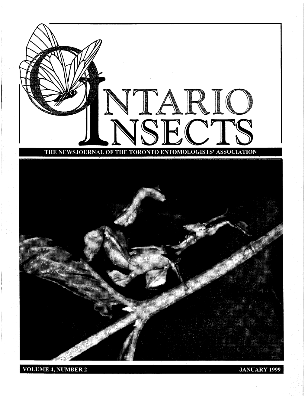 The Newsjournal of the Toronto Entomologists' Association