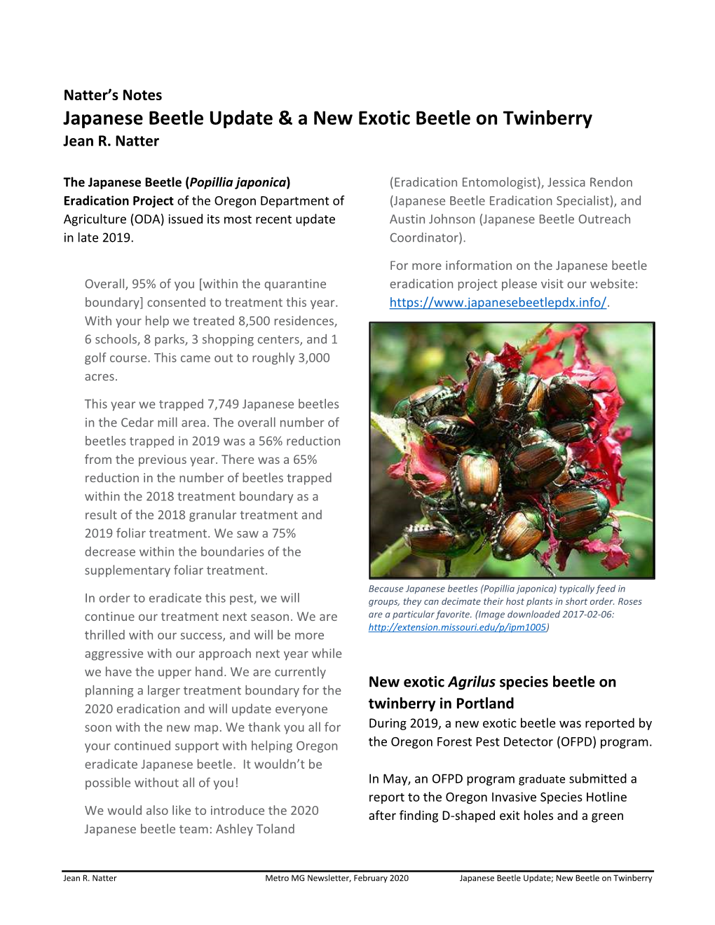 Japanese Beetle Update & a New Exotic Beetle on Twinberry
