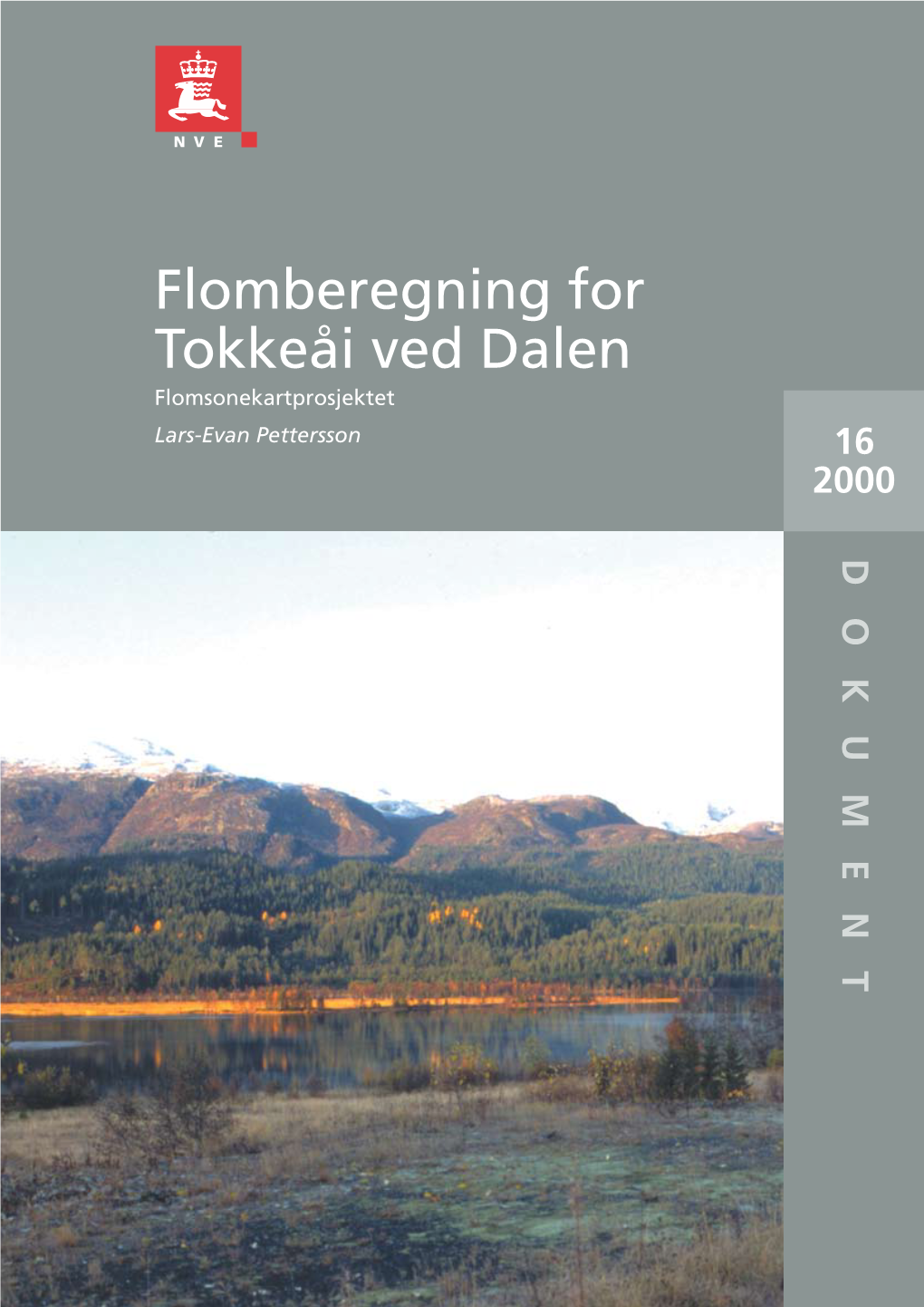 Flomberegning for Tokkeåi Ved Dalen (016.BD-BL)