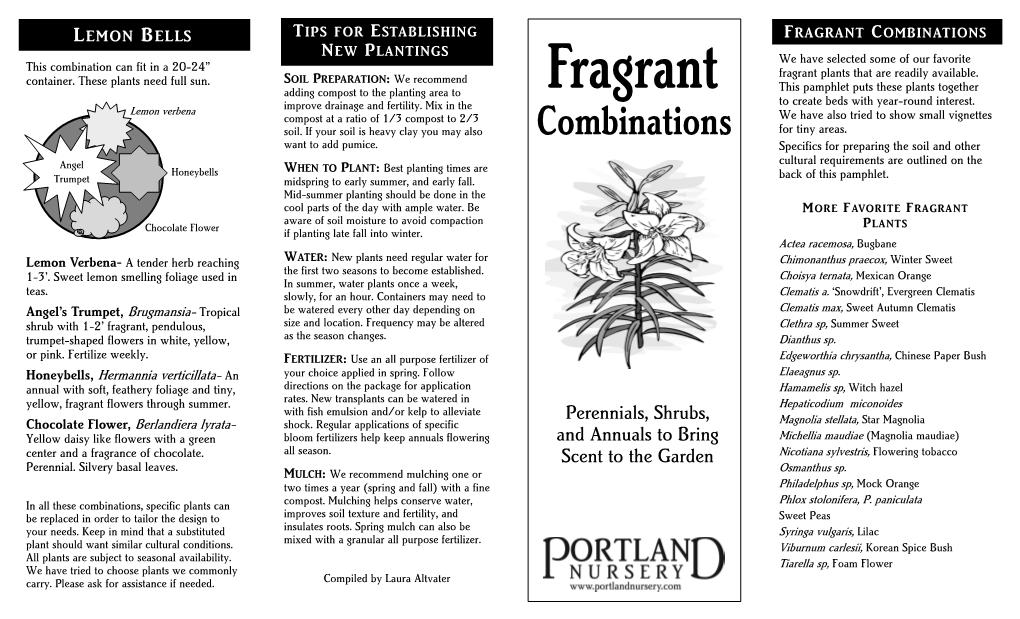 FRAGRANT COMBINATIONS NEW PLANTINGS We Have Selected Some of Our Favorite This Combination Can Fit in a 20-24” Fragrant Plants That Are Readily Available