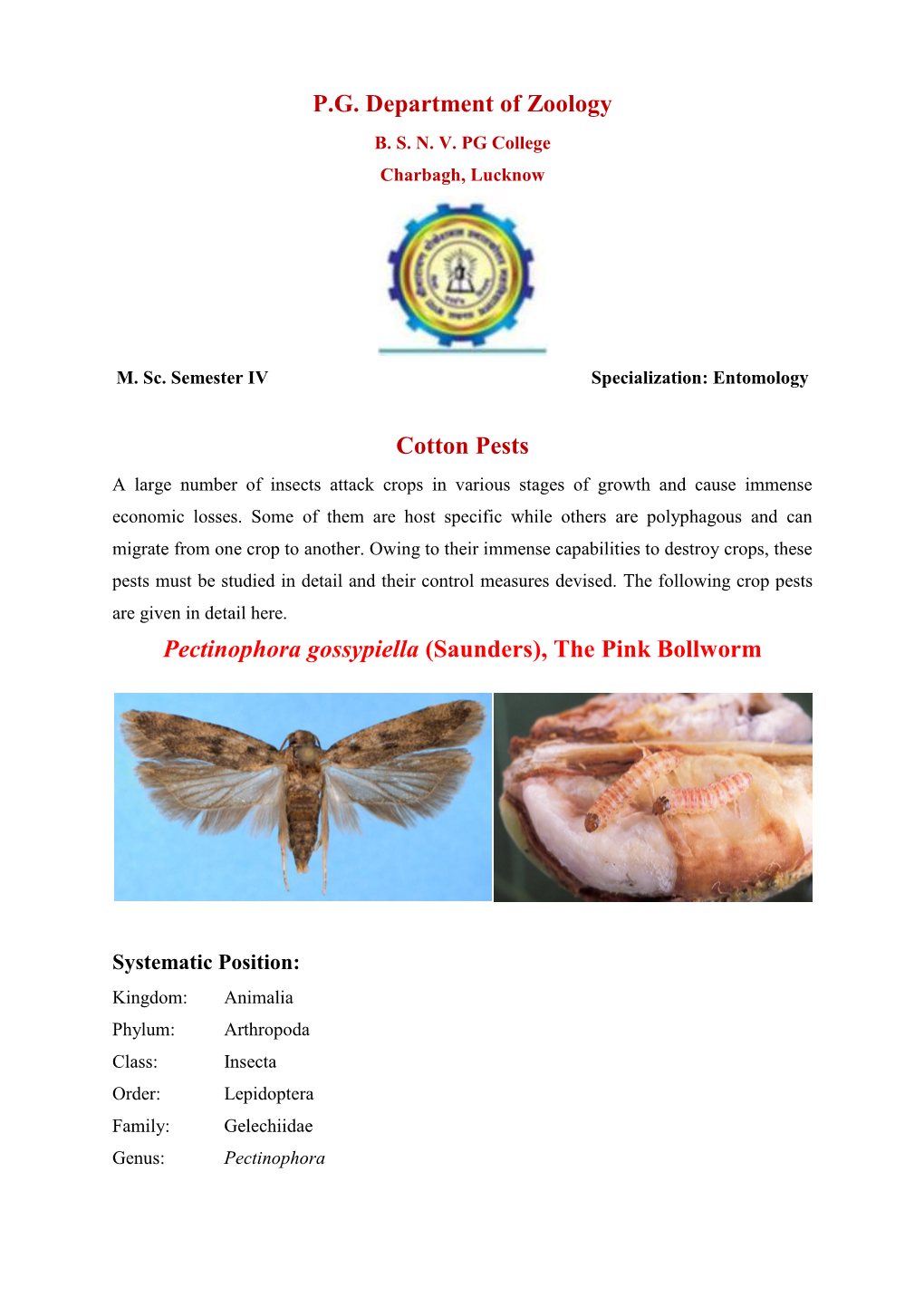 P.G. Department of Zoology Cotton Pests Pectinophora Gossypiella