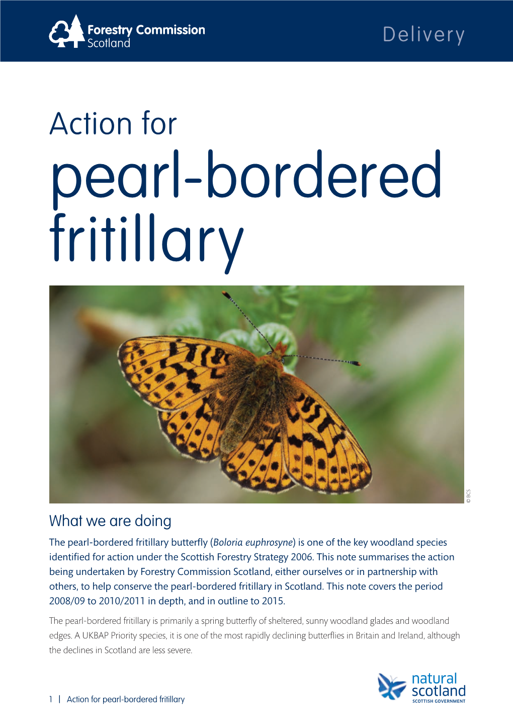 Action for Pearl Bordered Fritillary