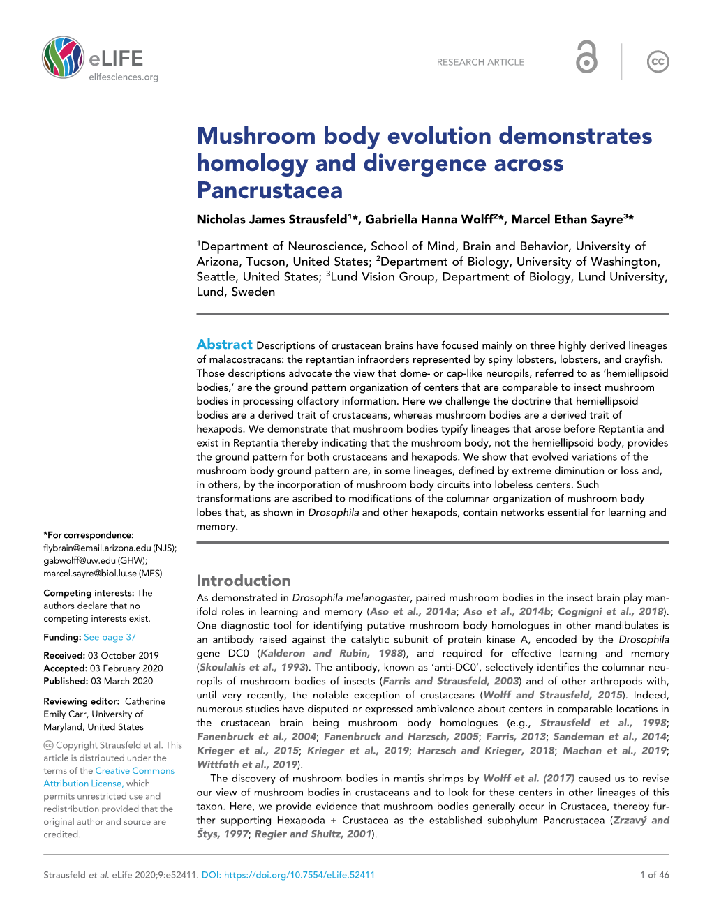 Mushroom Body Evolution Demonstrates Homology and Divergence Across Pancrustacea Nicholas James Strausfeld1*, Gabriella Hanna Wolff2*, Marcel Ethan Sayre3*