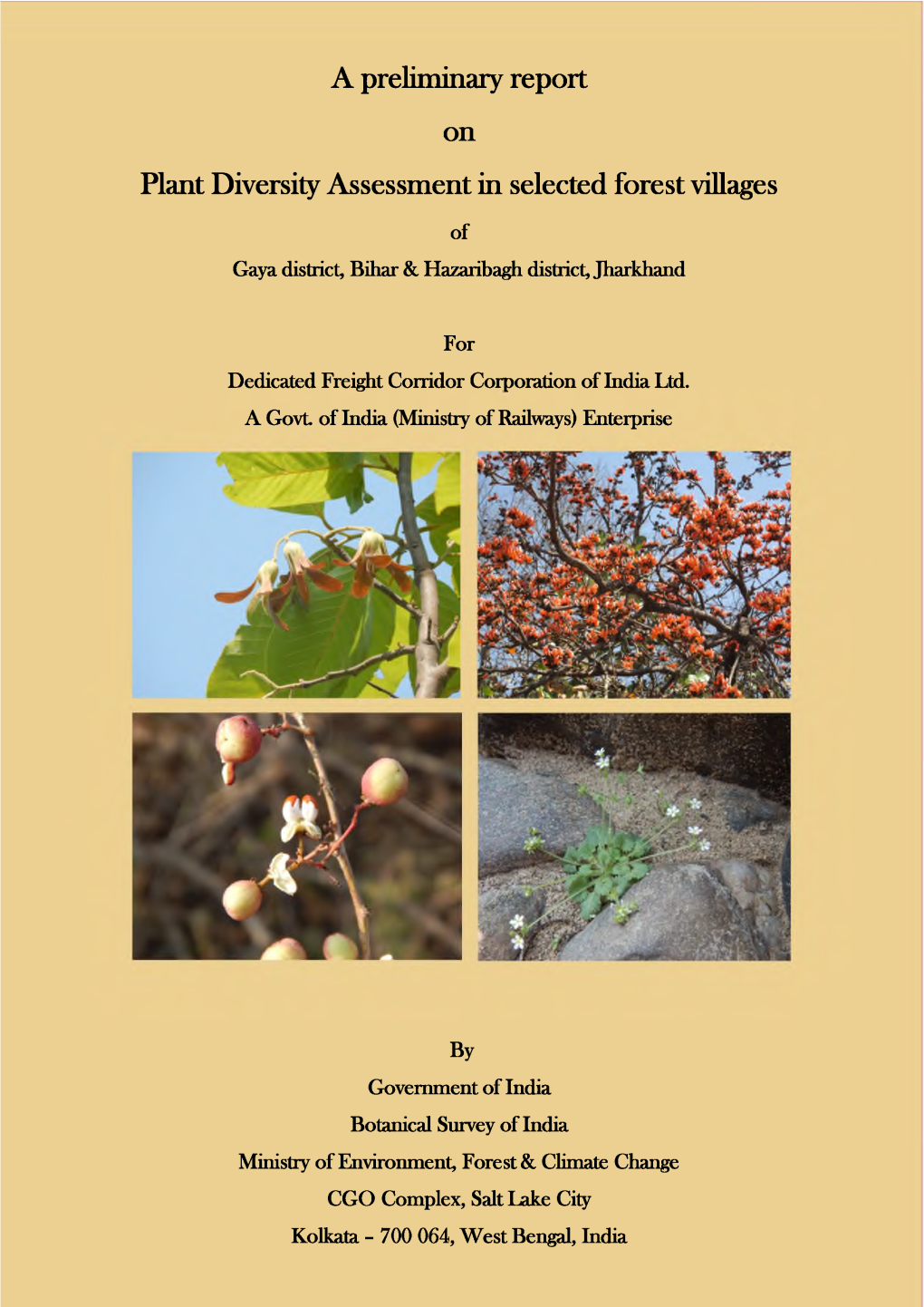 A Preliminary Report on Plant Diversity Assessment in Selected Forest Villages