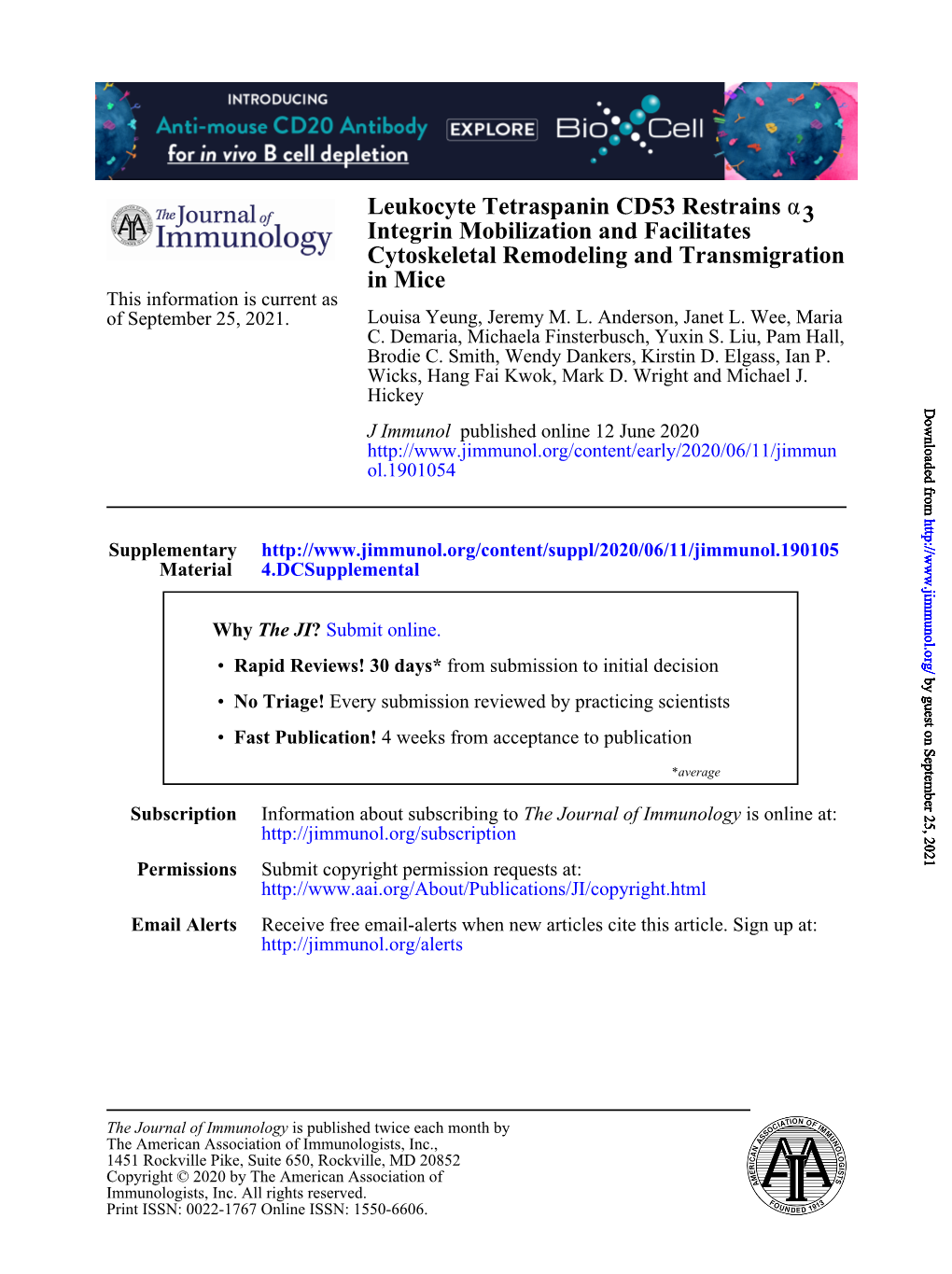 Leukocyte Tetraspanin CD53 Restrains Α3 Integrin Mobilization