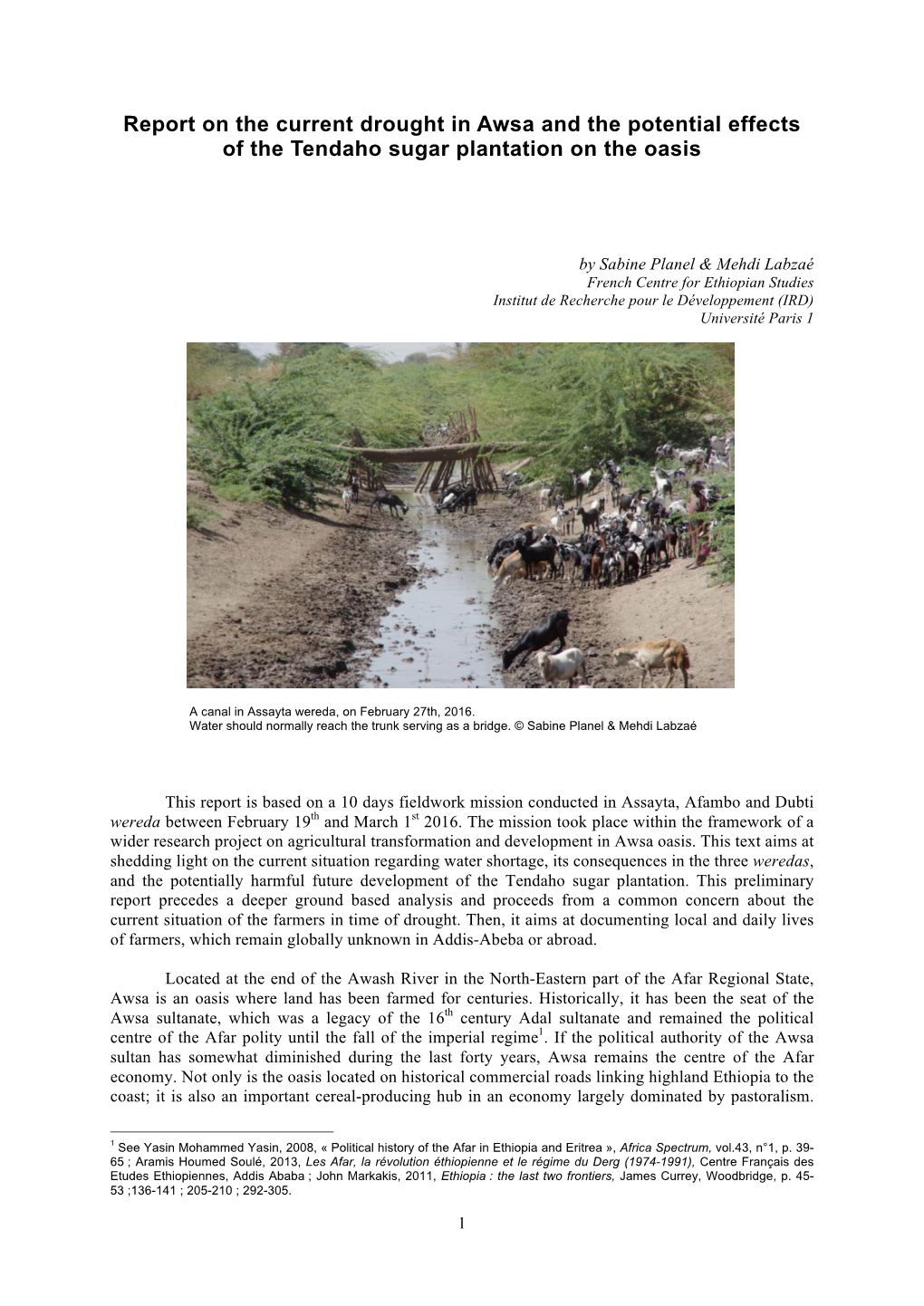 Report on the Current Drought in Awsa and the Potential Effects of the Tendaho Sugar Plantation on the Oasis