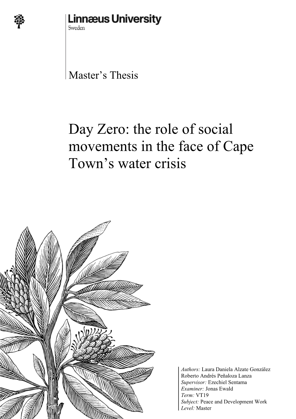 Day Zero: the Role of Social Movements in the Face of Cape