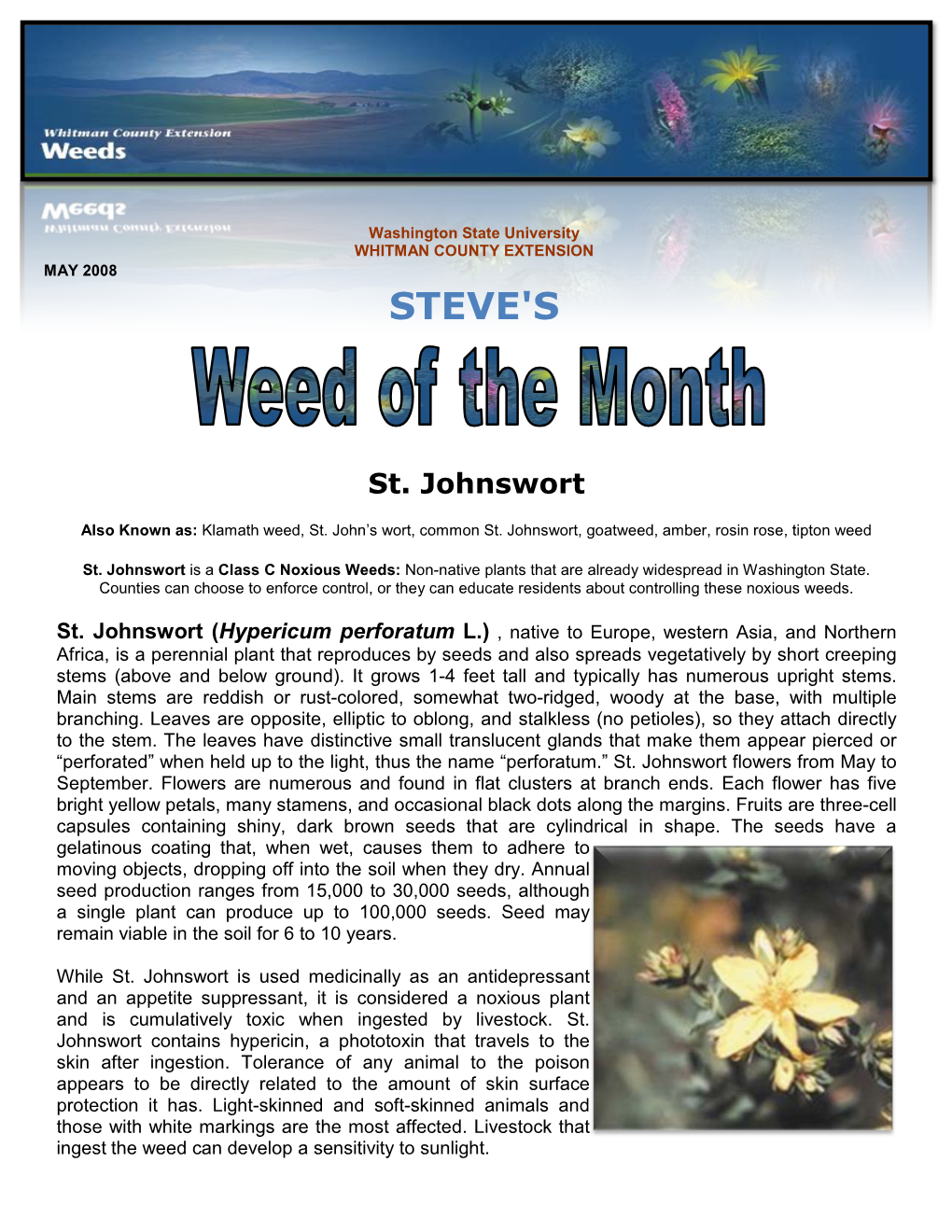 St. Johnswort